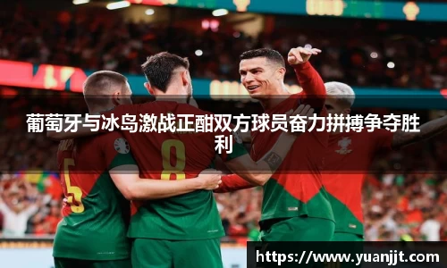 葡萄牙与冰岛激战正酣双方球员奋力拼搏争夺胜利